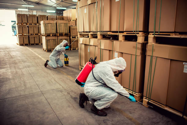 Best Pest Prevention Services  in Pelham, AL