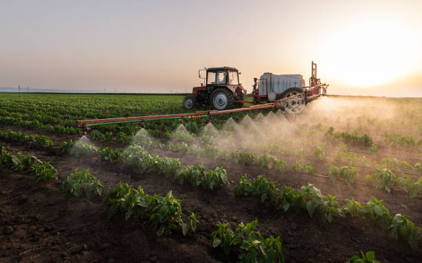 Best Pest Control for Businesses  in Pelham, AL