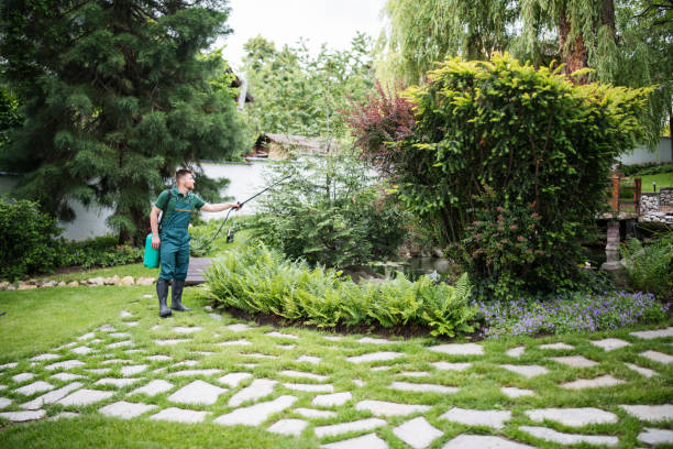 Best Mosquito Control Services  in Pelham, AL