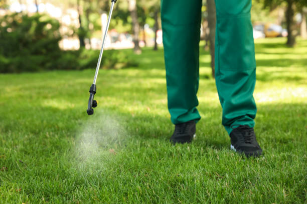 Best Termite Control Services  in Pelham, AL