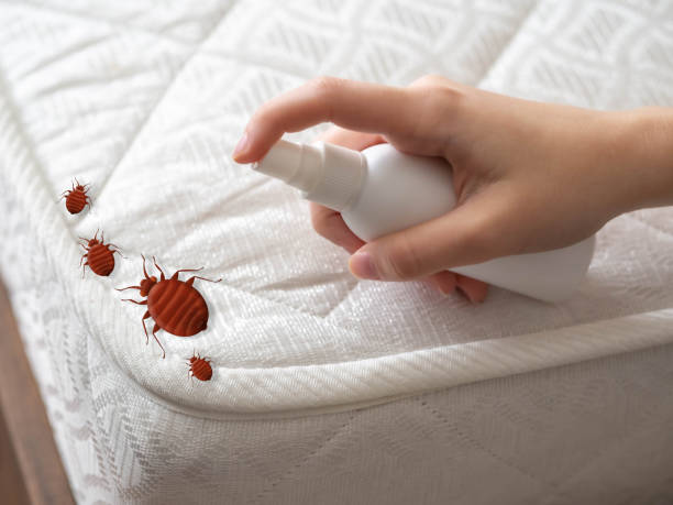 Trusted Pelham, AL Pest Control Experts
