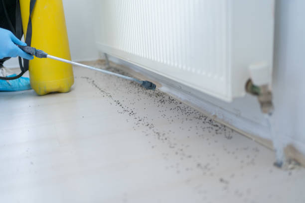 Best Best Pest Control Companies  in Pelham, AL