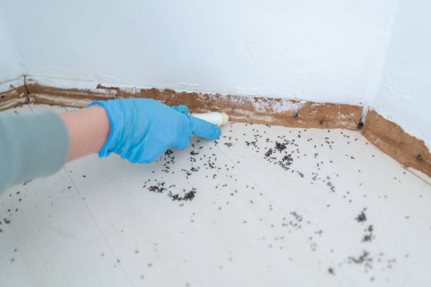 Best Pest Inspection Near Me  in Pelham, AL