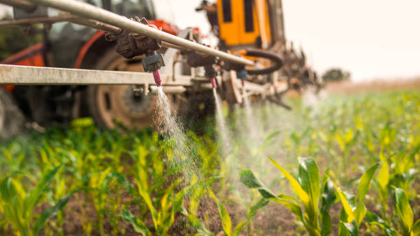 Best Ant Control Services  in Pelham, AL